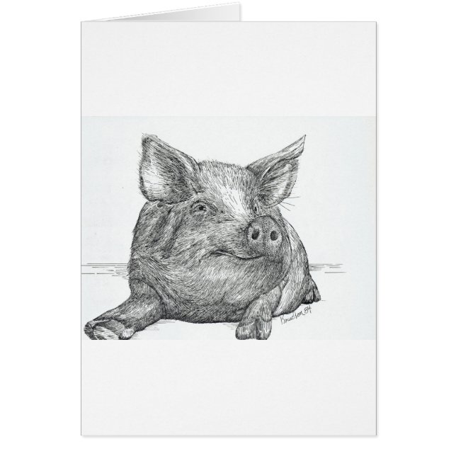 Varkenspiglet (Voorkant)