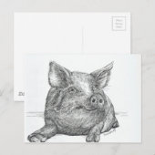 Varkenspiglet Briefkaart (Voorkant / Achterkant)