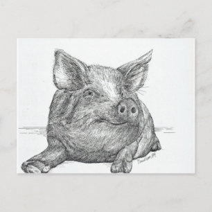 Varkenspiglet Briefkaart