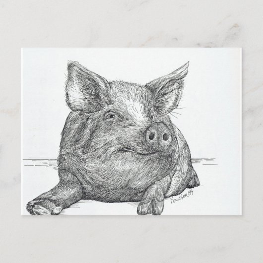 Varkenspiglet Briefkaart (Voorkant)