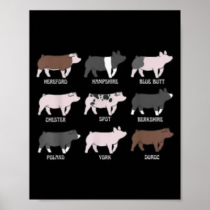 Varkensras Show Varken Varkens Show Veestapel Show Poster