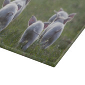 Varkenssnijplank Snijplank (Hoek)