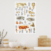 Varkensspier Anatomie Veterinaire Grafiek Poster (Keuken)