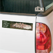 Varkensstapel-omhoog bumpersticker (Op Truck)