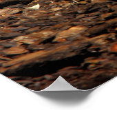 Varkensvoeding Poster (Hoek)