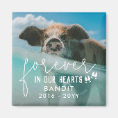 Varkensvoeten voor altijd in ons hart Varkensfoto Magneet (Voorkant)