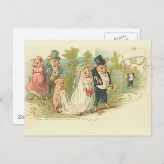 Varkensweddenschap Briefkaart (Voorkant / Achterkant)