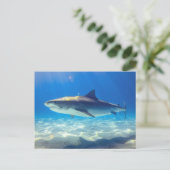 Varkenszwemmen Blauwe Oceaan Water Briefkaart (Staand voorkant)