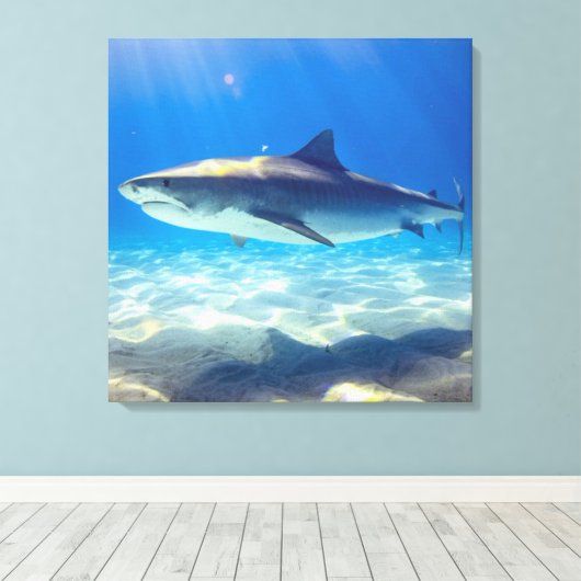 Varkenszwemmen Blauwe Oceaan Water Canvas Afdruk (Insitu (Houten vloer))