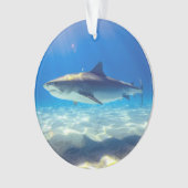 Varkenszwemmen Blauwe Oceaan Water Ornament (voorkant)