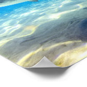 Varkenszwemmen Blauwe Oceaan Water Poster (Hoek)