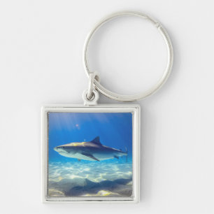 Varkenszwemmen Blauwe Oceaan Water Sleutelhanger