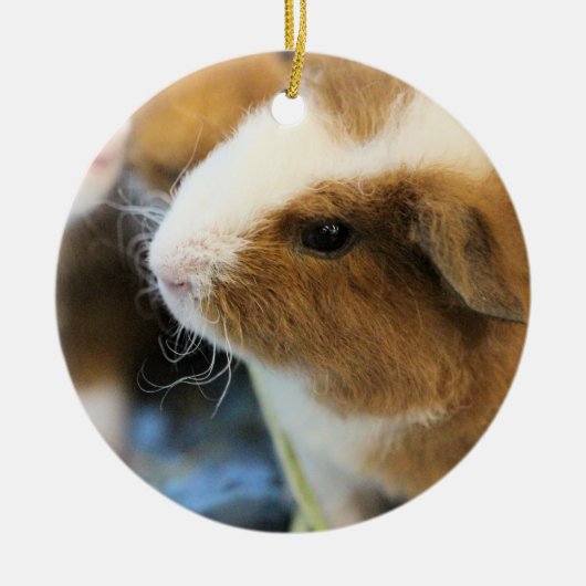 Varkentje Keramisch Ornament (Voorkant)