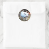 Varkentjes op de boerderij ronde sticker (Tas)