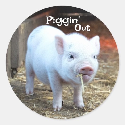 Varkentjes op de boerderij ronde sticker (Voorkant)