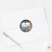 Varkentjes op de boerderij ronde sticker (Envelop)