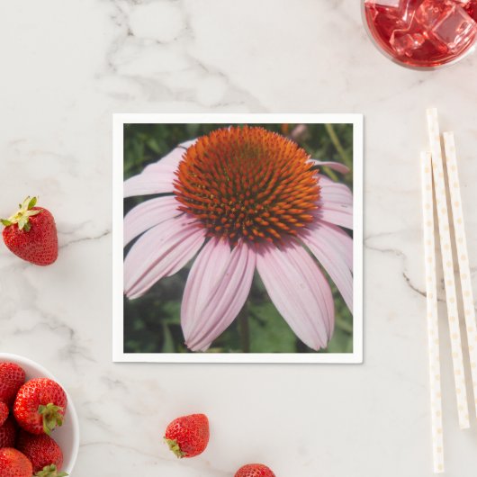 Varotari Servetten (Insitu)