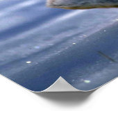 Varying Hare/Snowshoe Rabbit die open loopt Poster (Hoek)