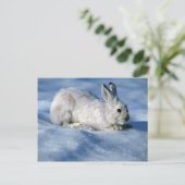Varying Hare/Snowshoe Rabbit op open sneeuw Briefkaart (Staand voorkant)