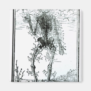 Vasculair Systeem van het Lichaam Magneet