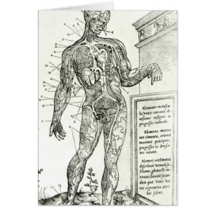 Vascular System volgens Charles Etienne