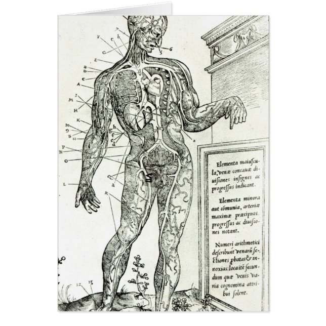 Vascular System volgens Charles Etienne (Voorkant)