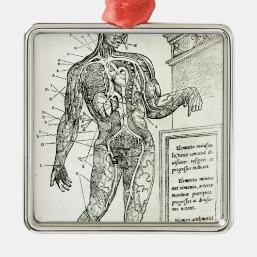Vascular System volgens Charles Etienne Metalen Ornament (Voorkant)