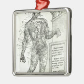 Vascular System volgens Charles Etienne Metalen Ornament (Links)