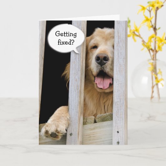 Vasectomie Humor Kaart (Gele Bloem)