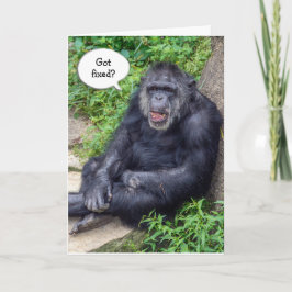 Vasectomie humor met chimpansee kaart