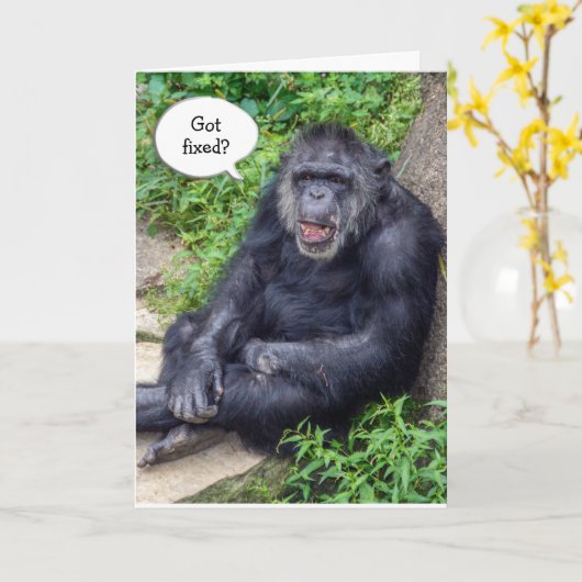 Vasectomie-humor met chimpansee kaart (Gele Bloem)