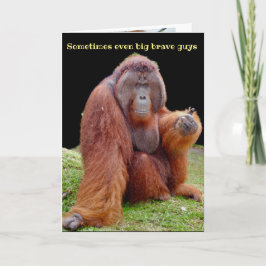 Vasectomie Humor wordt snel beter Kaart