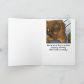 Vasectomie Humor wordt snel beter Kaart (Binnen)