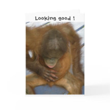 Vasectomie Slaagt Ervaring