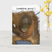 Vasectomie Slaagt Ervaring Kaart (Gele Bloem)