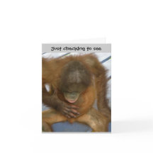 Vasectomy Surgery Humor