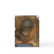 Vasectomy Surgery Joke