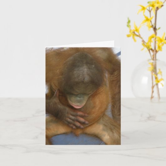 Vasectomy Surgery Joke Kaart (Gele Bloem)