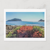 Vasilitsi - Venetiko en Cape Akritas - Briefkaart (Voorkant)