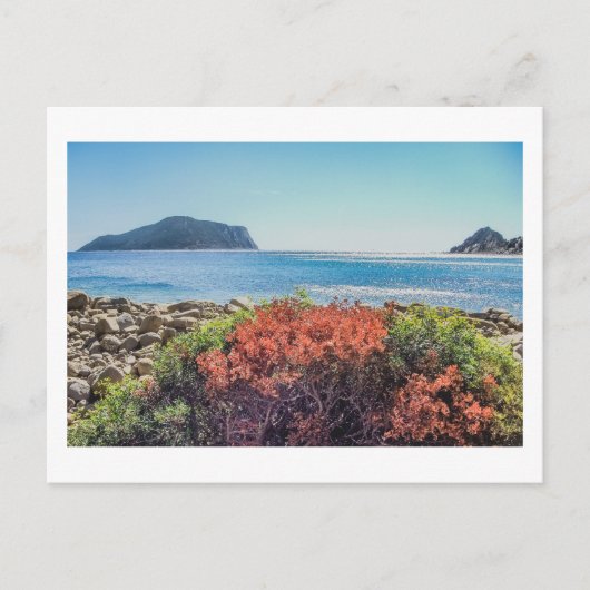 Vasilitsi - Venetiko en Cape Akritas - Briefkaart (Voorkant)