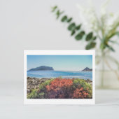 Vasilitsi - Venetiko en Cape Akritas - Briefkaart (Staand voorkant)