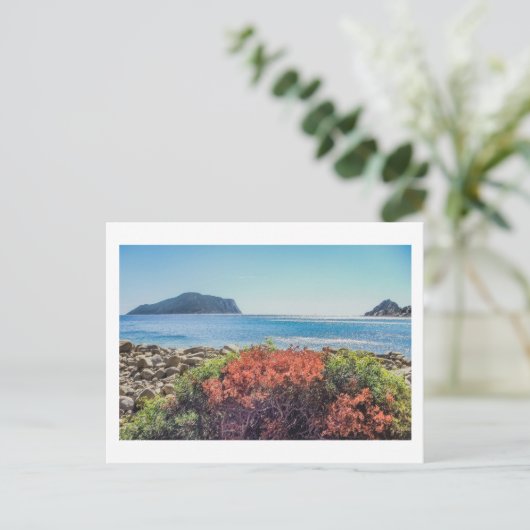 Vasilitsi - Venetiko en Cape Akritas - Briefkaart (Staand voorkant)