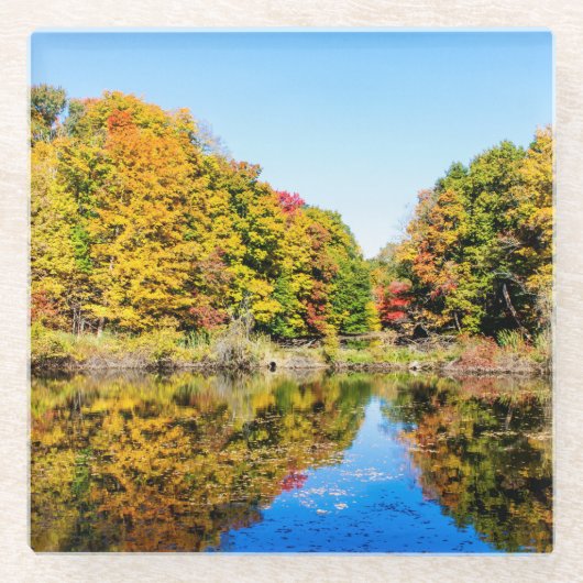 Vassar Boerderijen Pond Glazen Onderzetter (Voorkant)
