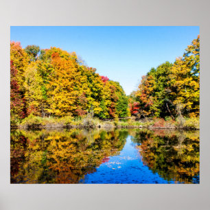 Vassar Boerderijen Pond Poster