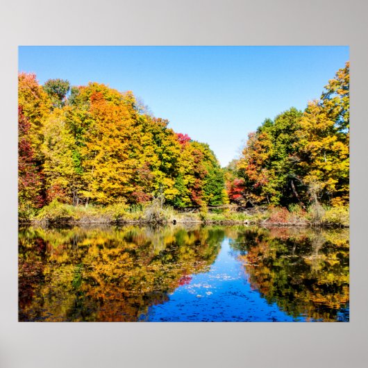 Vassar Boerderijen Pond Poster (Voorkant)