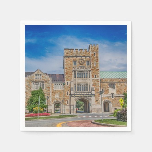 Vassar College hoofdingang in NY Servet (Voorkant)