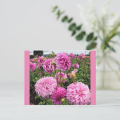 Vassio Meggos Dahlia Briefkaart (Staand voorkant)