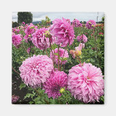 Vassio Meggos Dahlia Magneet (Voorkant)