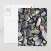 vast briefkaart (Voorkant / Achterkant)