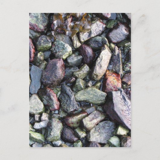 vast briefkaart (Voorkant)